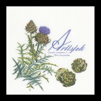 Artichoke - blanc