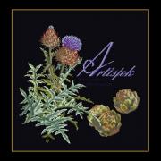 Artichoke - noir