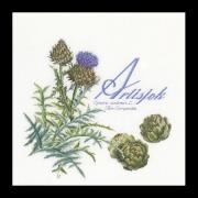 Artichoke - blanc
