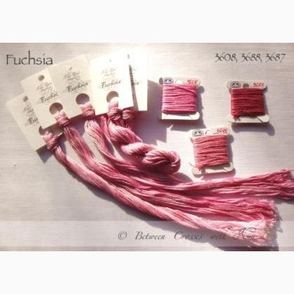 Fuchsia