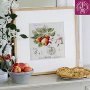 Etude Aux Pommes - Lin