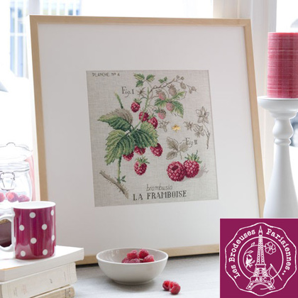 Etude Aux Framboises - Lin
