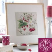 Etude Aux Framboises - Lin