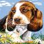 Basset