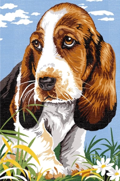 Basset