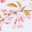 Japanese Blossom