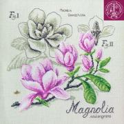Étude au Magnolia - Lin