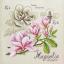 Étude au Magnolia - Lin