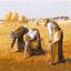 Les Glaneuses (Millet)