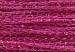 Gold Rush 14 - WG40C Fuchsia