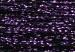 Gold Rush 14 - WG85C Deep Purple