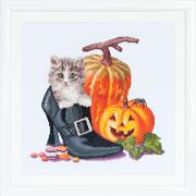 Halloween Kitten