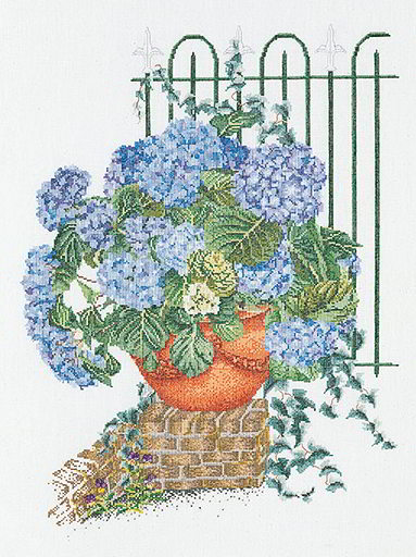 Hortensia Bleue