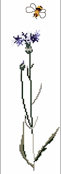 Bleuet et abeille