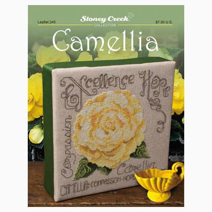 Camellia