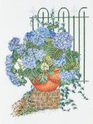 Hortensia Bleue
