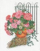 Hortensia Rose