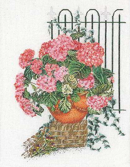 Hortensia Rose