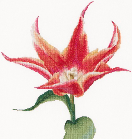 Tulipe fleur de lys Rouge/Orange de Thea Gouverneur - Fleurs & Fruits - Kit  au point de croix Kits - Casa Cenina