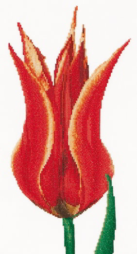 Tulipe fleur de lys Rouge/Jaune de Thea Gouverneur - Fleurs & Fruits - Kit  au point de croix Kits - Casa Cenina
