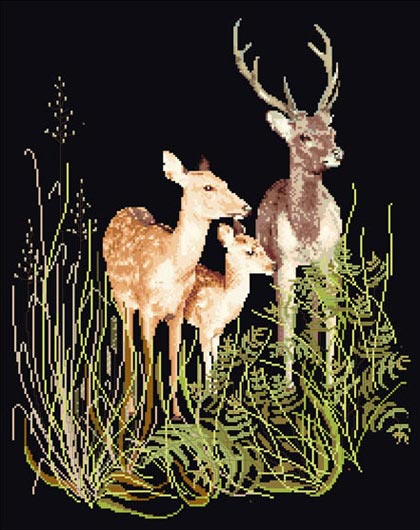 Deer Family - Noir