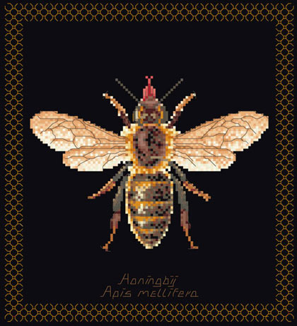 Honey Bee - Noir