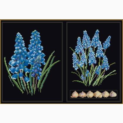 Panneau Muscari - noir