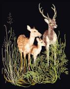 Deer Family - Noir