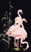 Flamingo - Noir