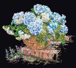 Hortensia Bleue - Noir