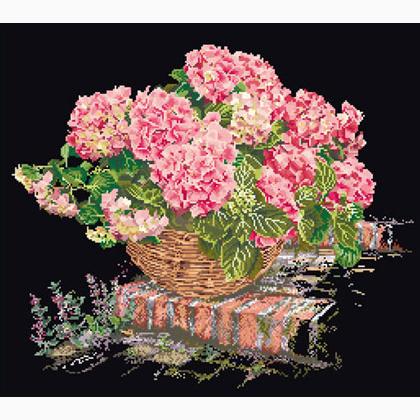 Hortensia Rose - Noir