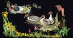 Ducks - Noir
