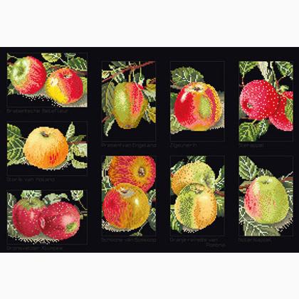 Apples - Noir