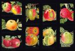 Apples - Noir