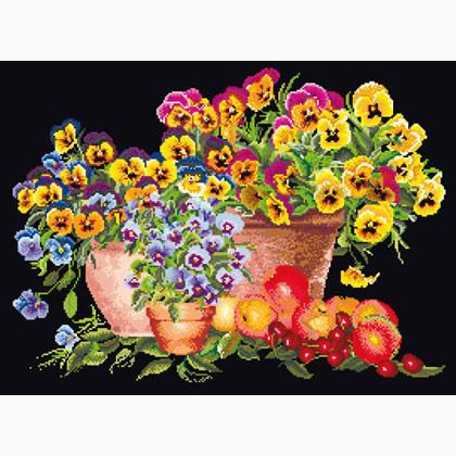 Pansies - Noir