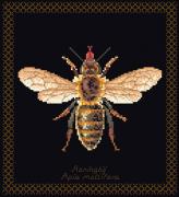 Honey Bee - Noir