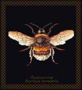 Bumble Bee - Noir