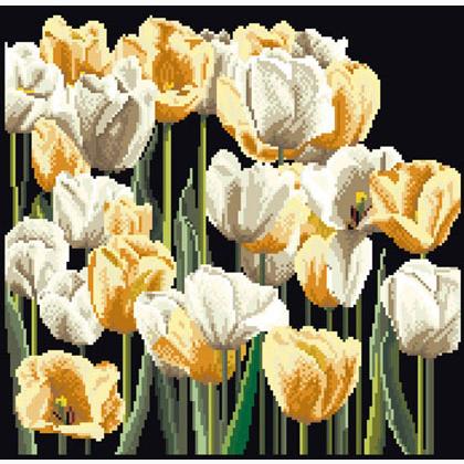 Tulips - Noir