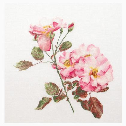Rosa Leersum - Aida - Blanc