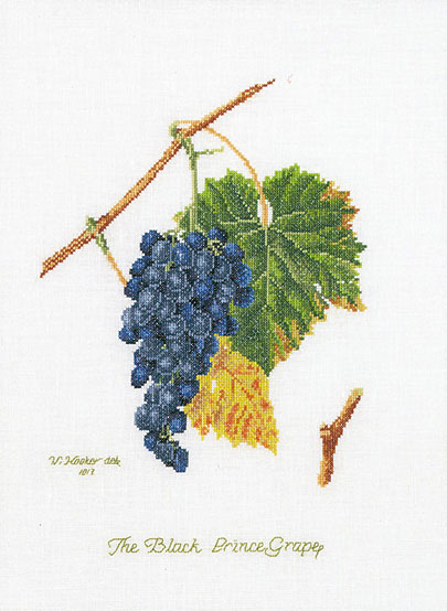 Raisin - Aida