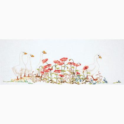 Poppies & Geese - Aida