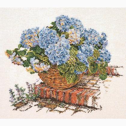 Hortensia Bleue II - Aida