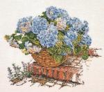 Hortensia Bleue II - Aida