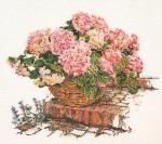 Hortensia Rose II - Aida