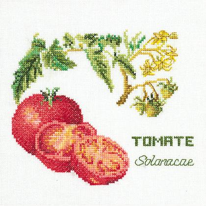 Tomate - Aida