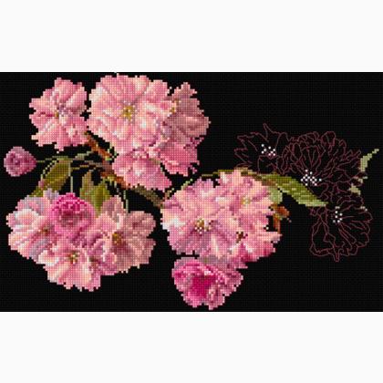 Blossom - Noir