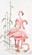 Flamingo - Aida