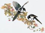 Magpie