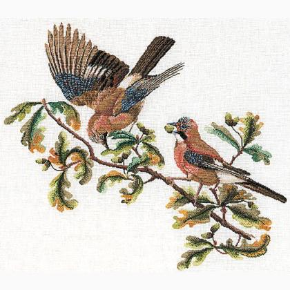 Jays - Aida
