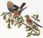 Jays - Aida